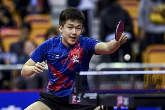 展现了近年 展现了近年